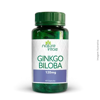 Ginkgo Biloba 120mg 60 Cápsulas